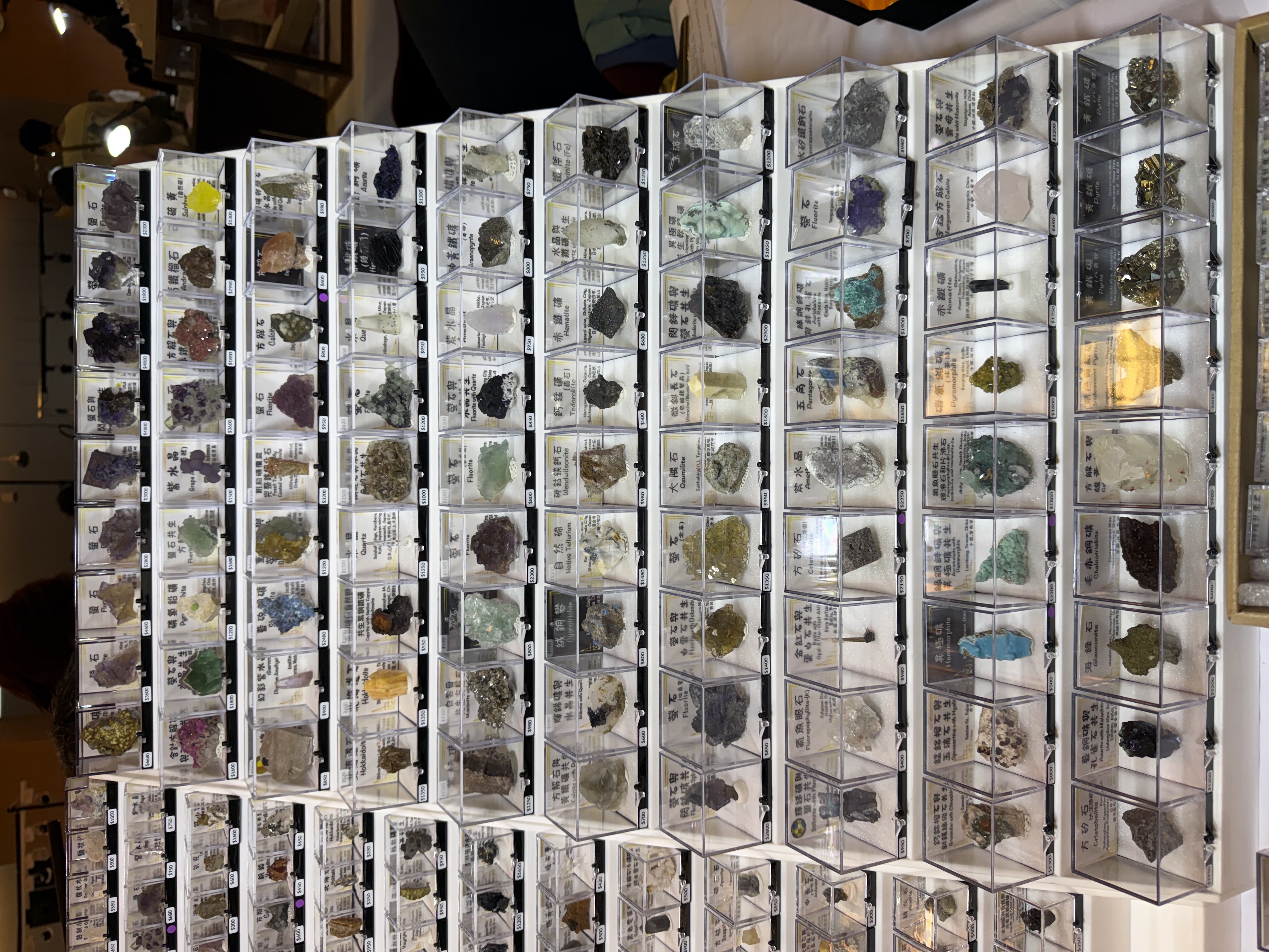 ViN晶礦 — 整面牆的標本展示盒，各式礦物標本附中英文標籤與價格